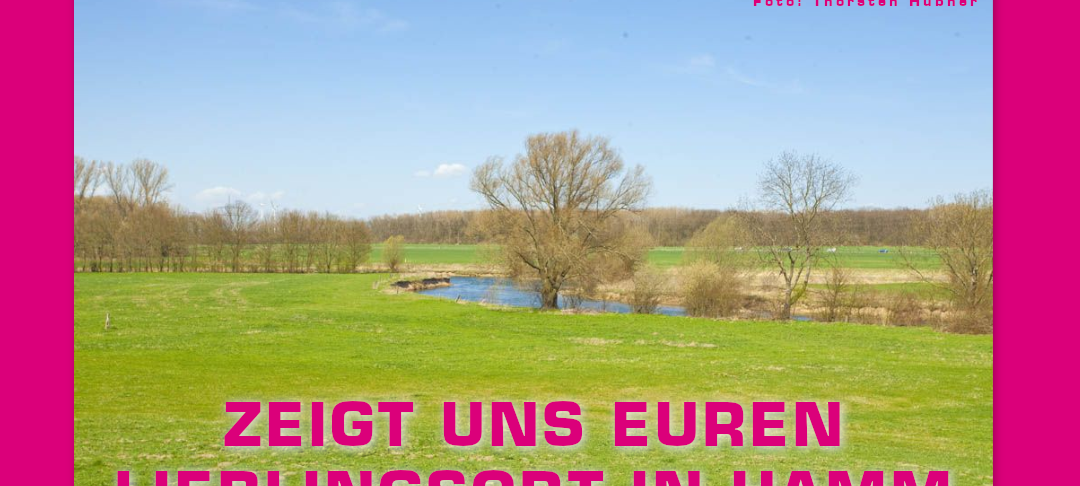 Sechs Monate Corona in Deutschland